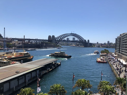 Projects in Focus - Circular Quay Renewal